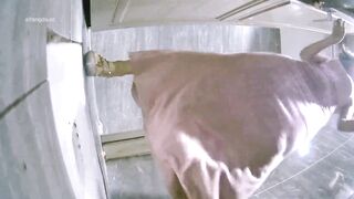 KTV女廁全景偷拍 氣質美女少婦噓噓 各種美鮑魚完美呈現