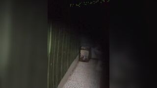 門縫偷拍 身材不錯的美女洗澡噓噓
