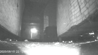 廁拍 野外放尿-03