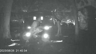 廁拍 野外放尿-11