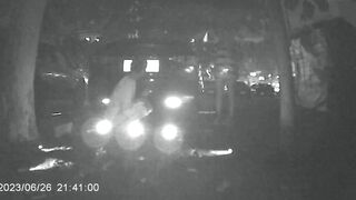 廁拍 野外放尿-11