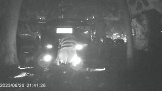 廁拍 野外放尿-11