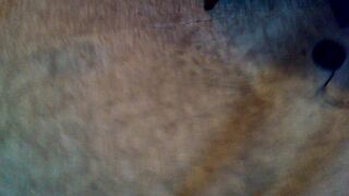 真實空姐性愛流出事件-32